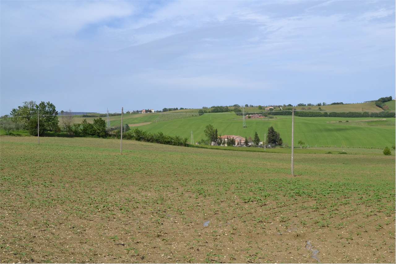 Terreno agricolo in vendita a Cartoceto (PU)