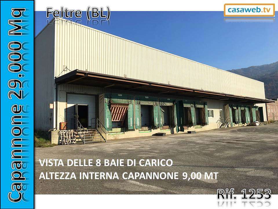 Capannone Industriale Borgo Valbelluna 1253