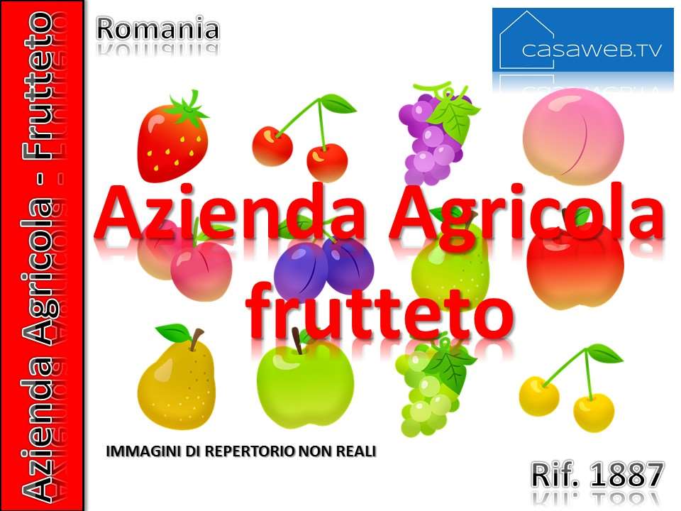 Sono disponibili 5 immagini