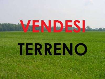 Vendita Terreno Agricolo in V a Petrosino