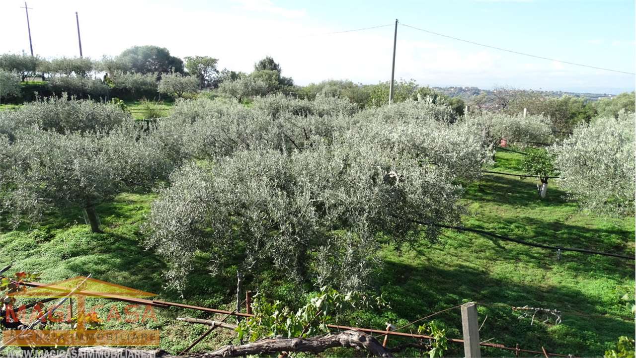 agricolo in via san domenico a Camporotondo Etneo