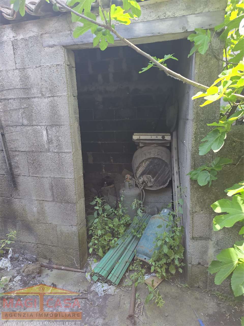 immagine annuncio 6 di 13