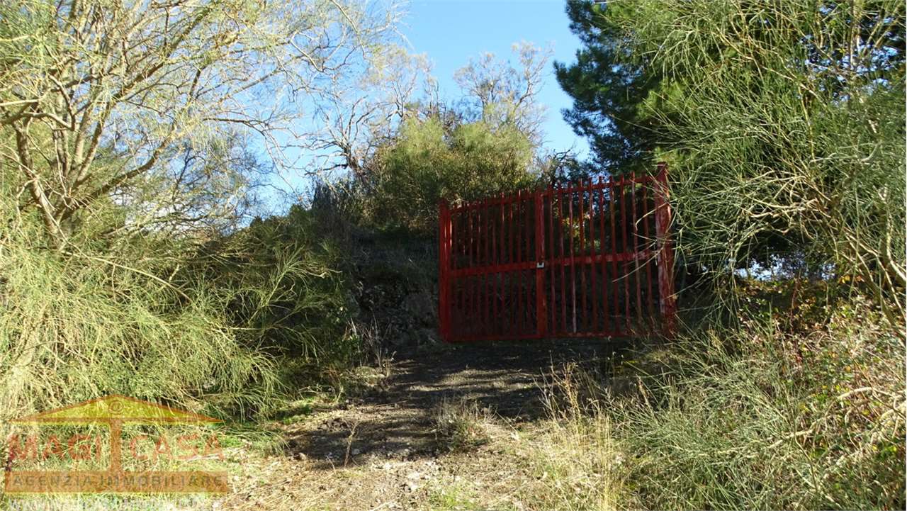 Biancavilla Vendita Terreno Agricolo