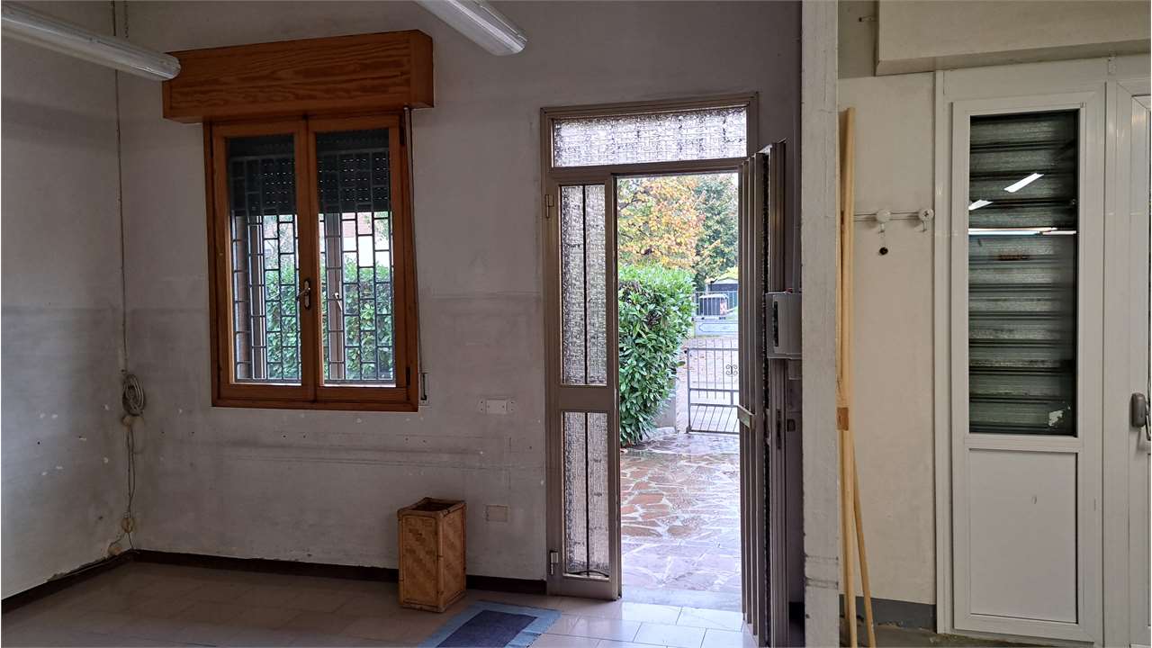 immagine annuncio 5 di 11
