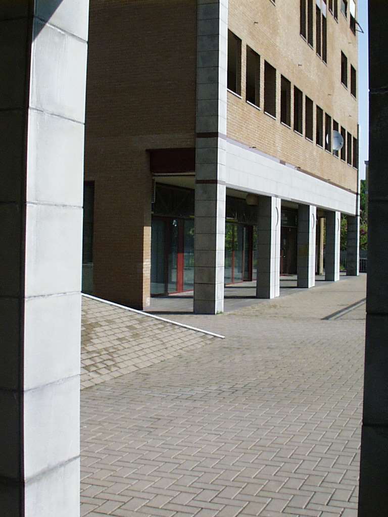 immagine annuncio 3 di 14