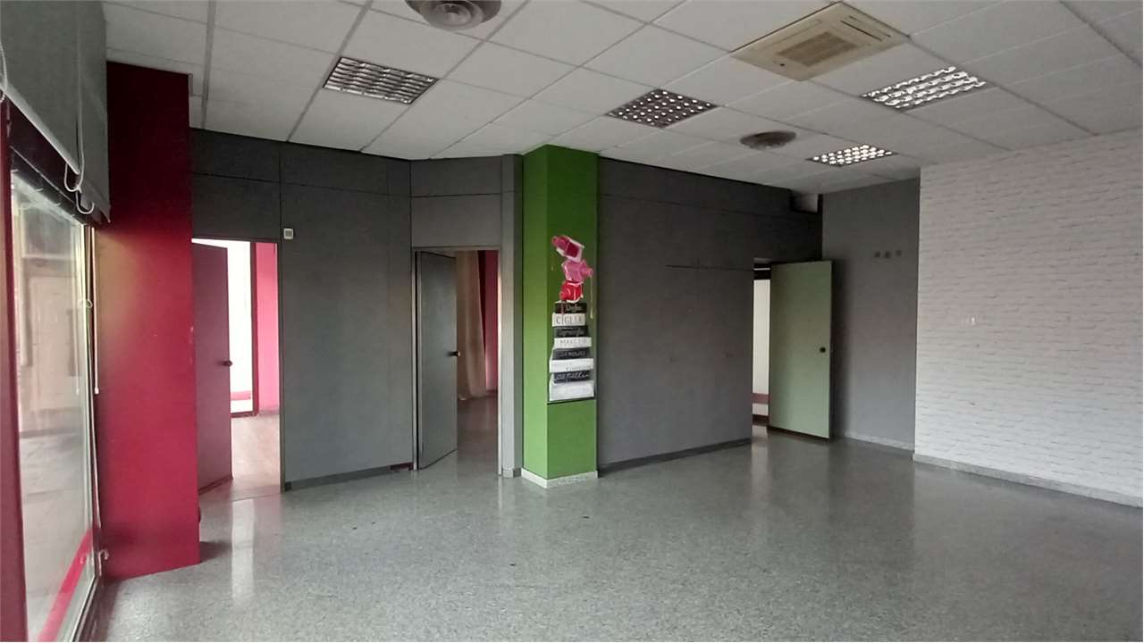 immagine annuncio 11 di 14