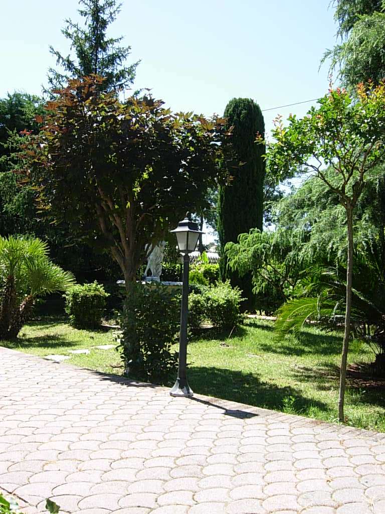 Villa a Camporosso — Rif. A-521 - foto 3