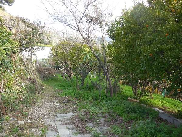 Terreno a Bordighera — Rif. 603 - foto 3