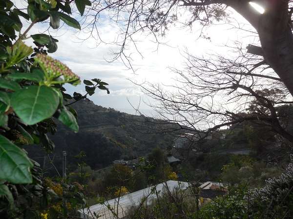 Terreno a Bordighera — Rif. 603 - foto 1