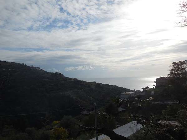 Terreno a Bordighera — Rif. 603 - foto 2