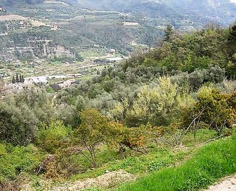 Villa a Dolceacqua — Rif. 580 - Foto 9