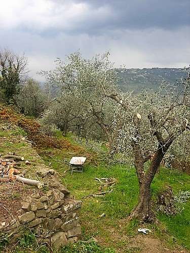 Villa a Dolceacqua — Rif. 580 - Foto 7