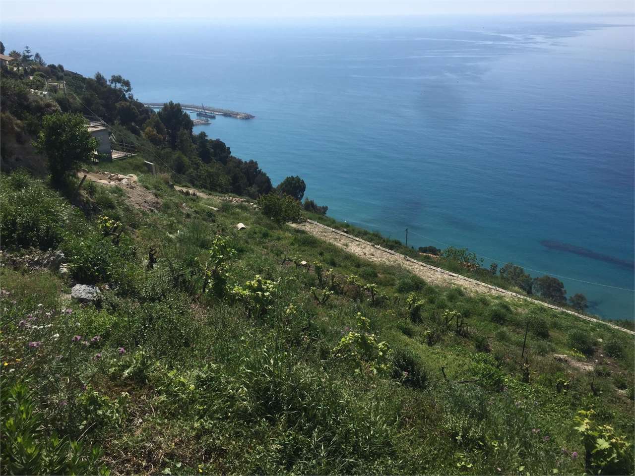 Villa a Ventimiglia — Rif. 583 - foto 4