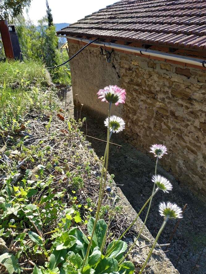 Rustico a San Biagio della Cima — Rif. 602 - Foto 12