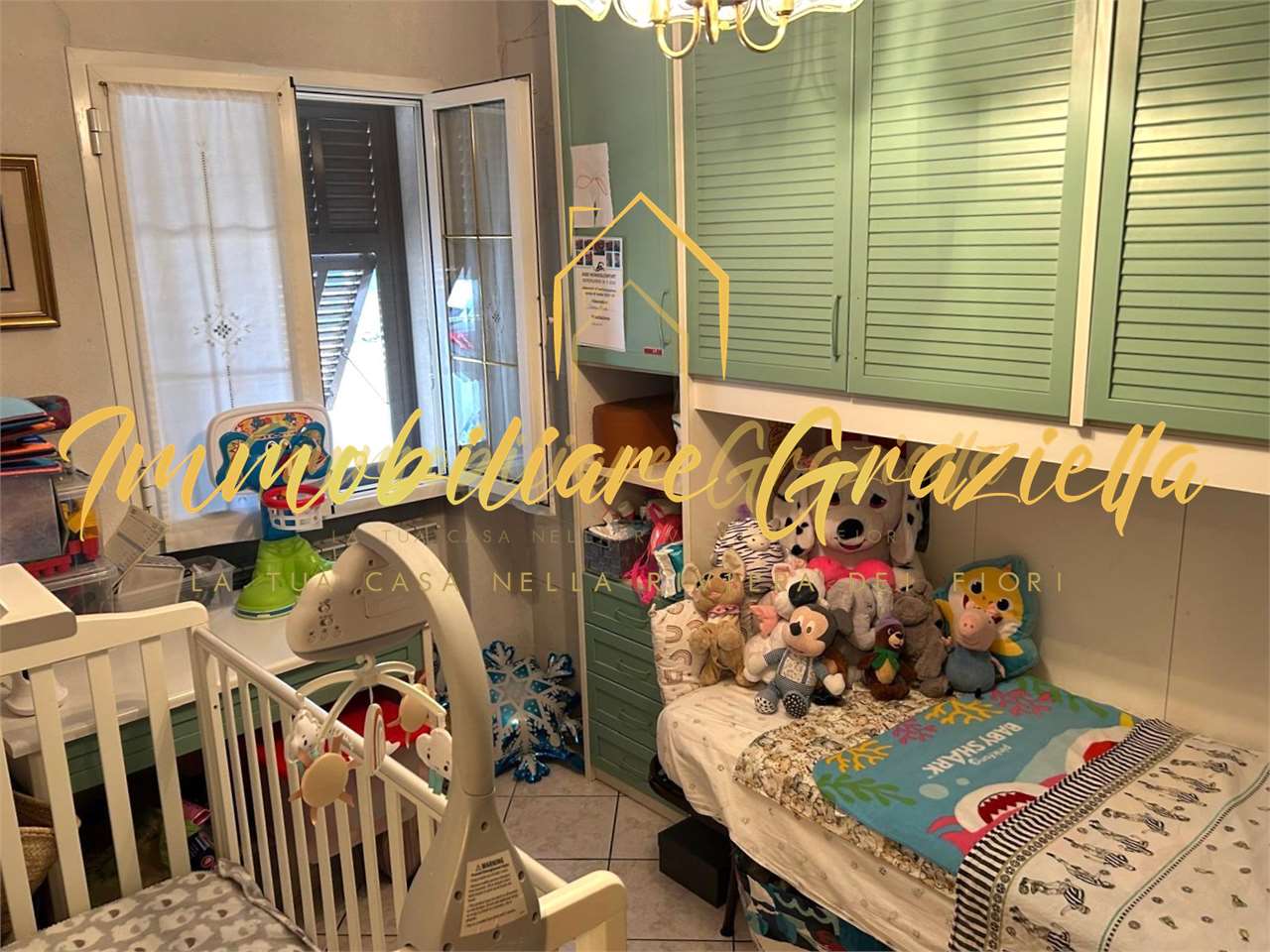 immagine annuncio 5 di 15