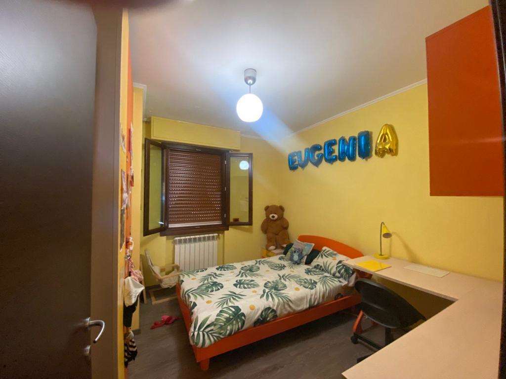 immagine annuncio 7 di 14