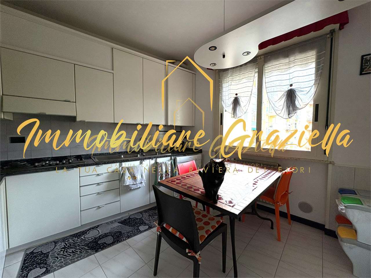 immagine annuncio 3 di 14