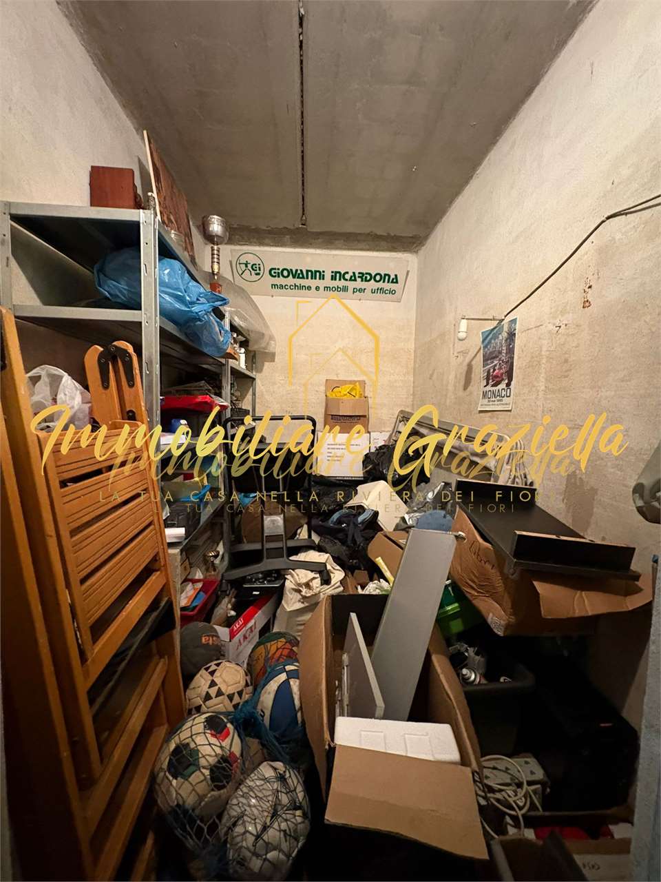 immagine annuncio 12 di 14