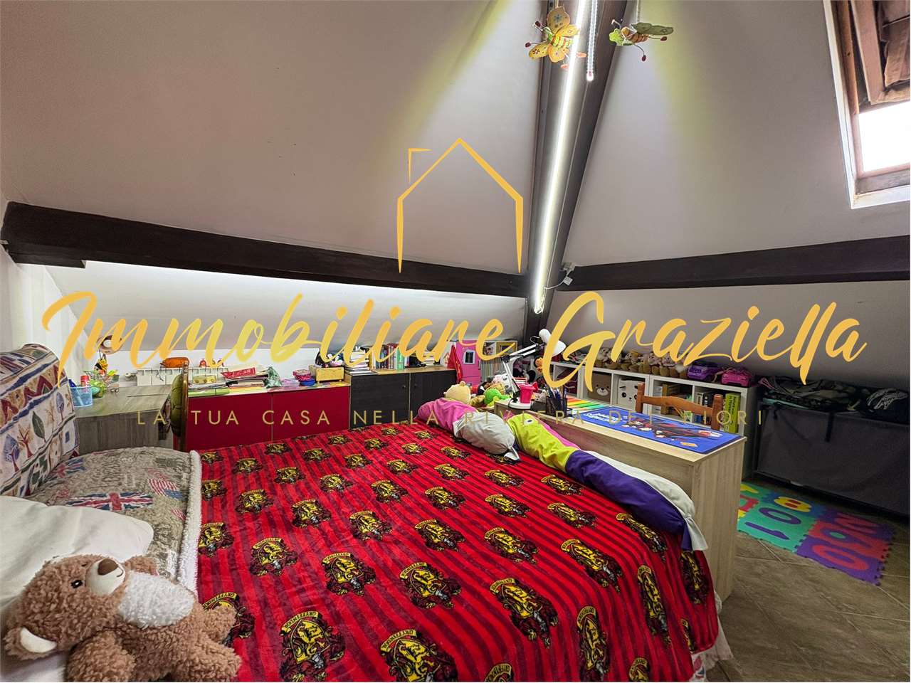 immagine annuncio 10 di 15