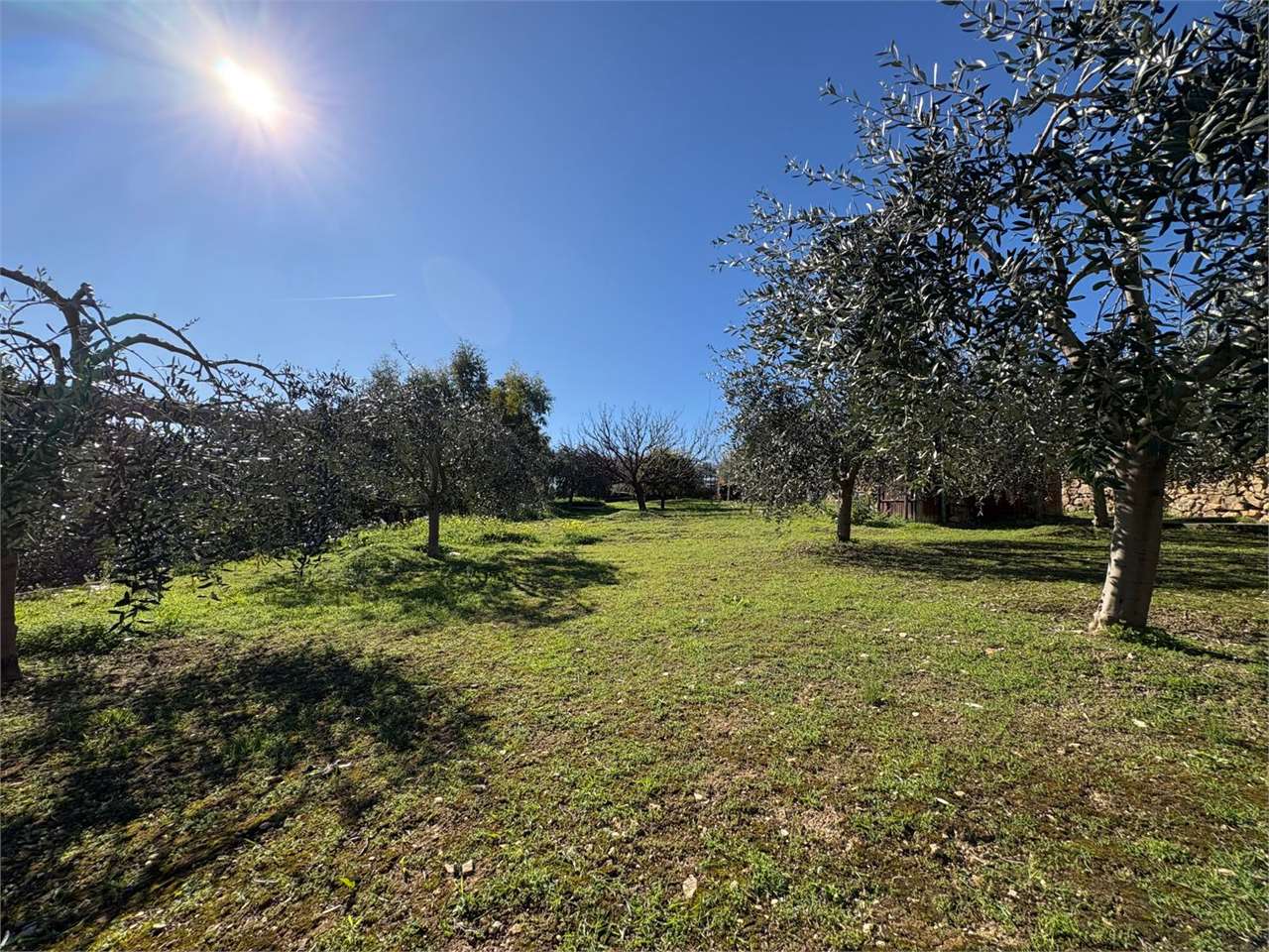Terreno a Bordighera — Rif. 661 - foto 1