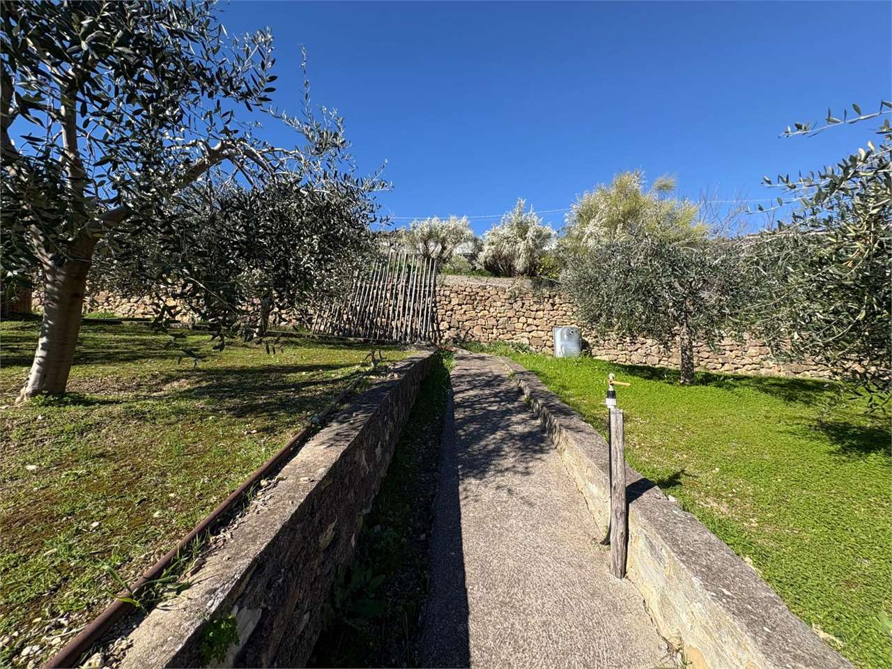 Terreno a Bordighera — Rif. 661 - foto 3