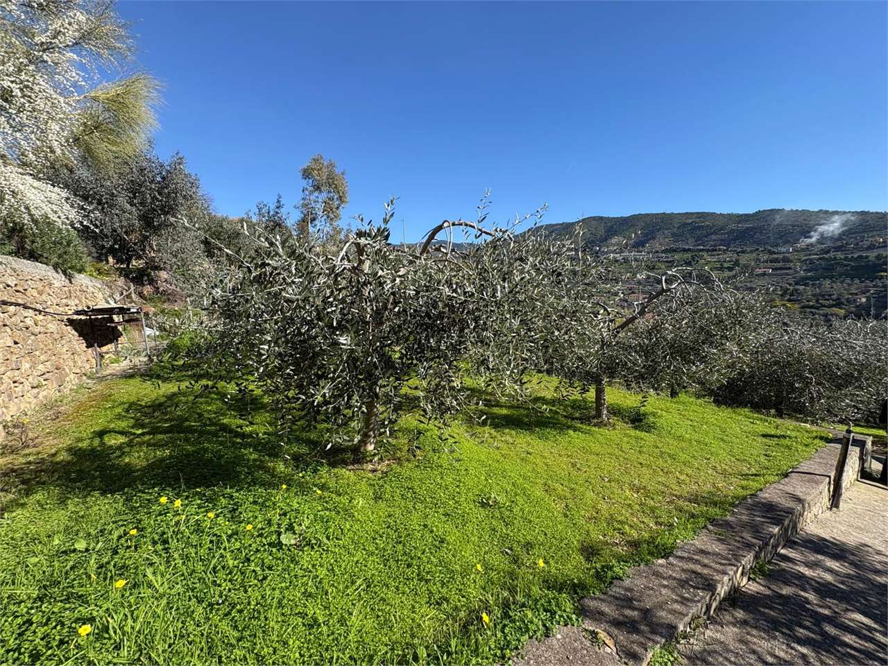 Terreno a Bordighera — Rif. 661 - foto 4