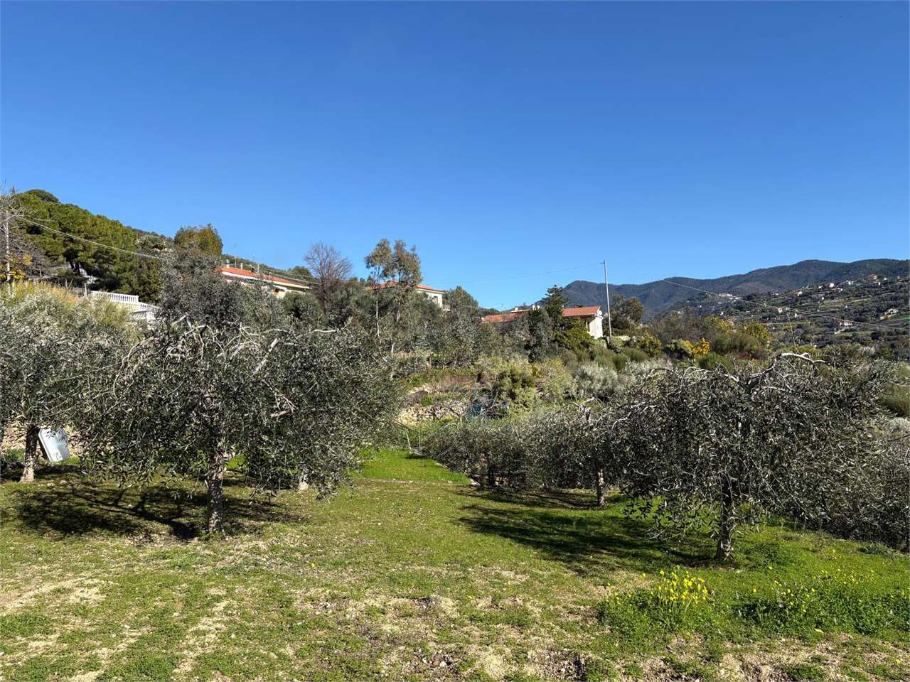 Terreno a Bordighera — Rif. 661 - Foto 6