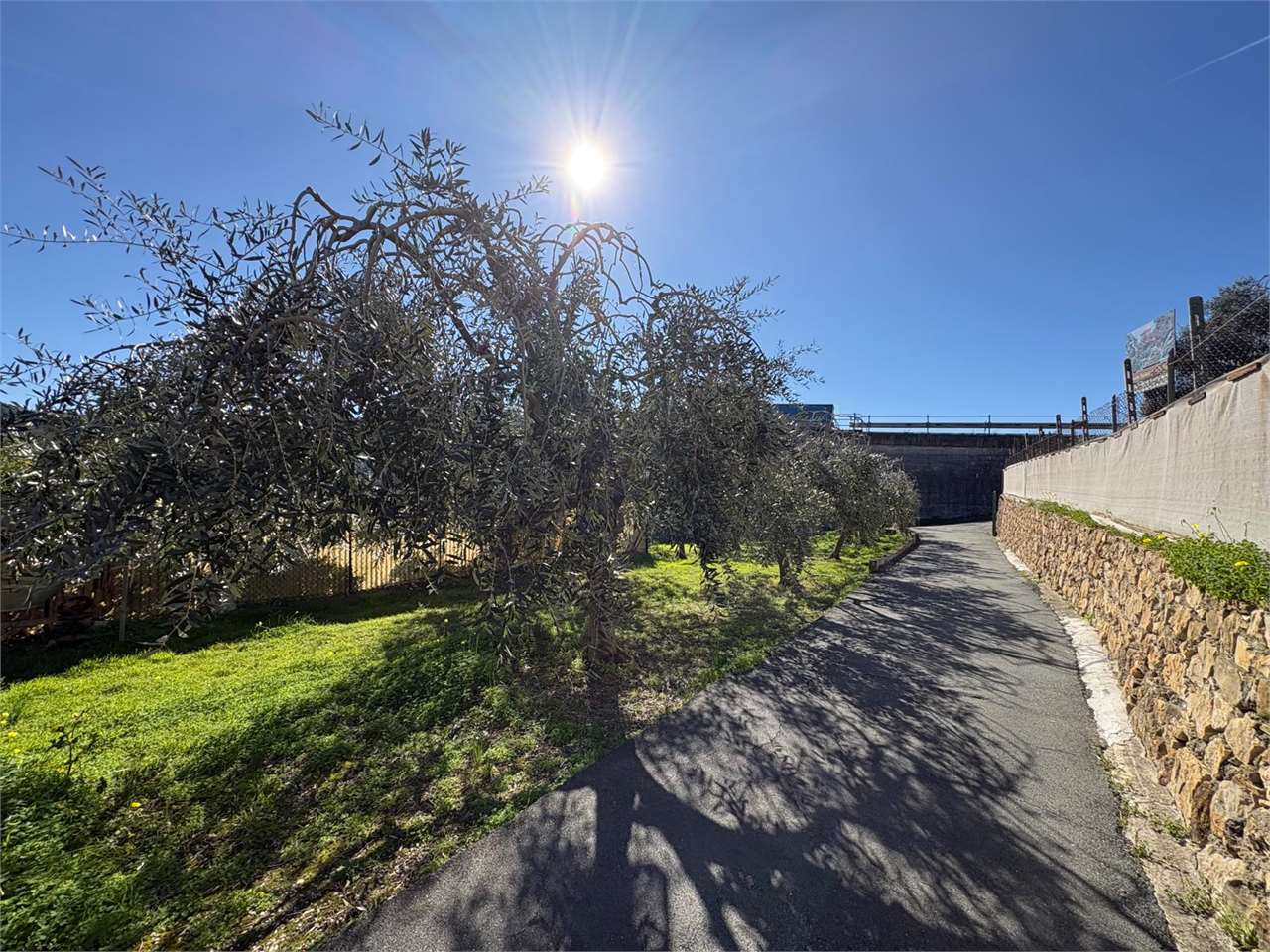 Terreno a Bordighera — Rif. 661 - Foto 8