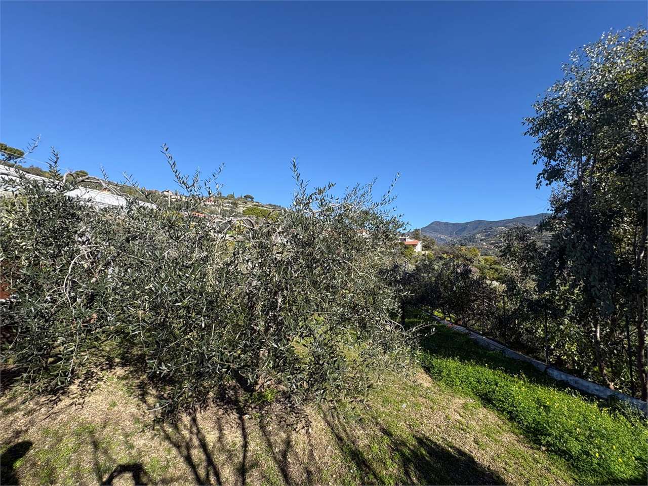 Terreno a Bordighera — Rif. 661 - Foto 10