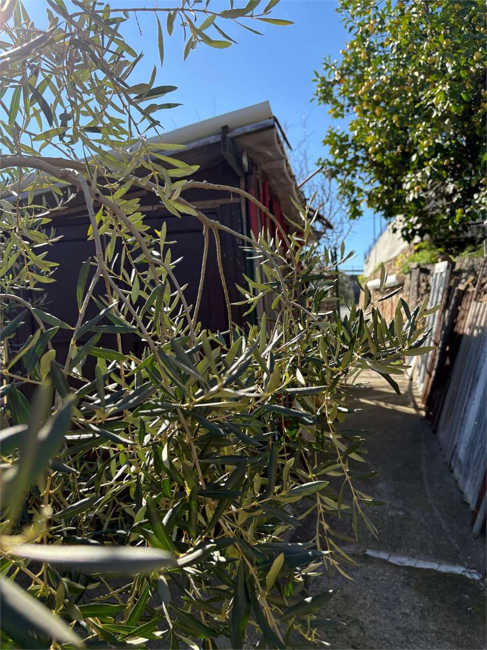 Terreno a Bordighera — Rif. 661 - Foto 12