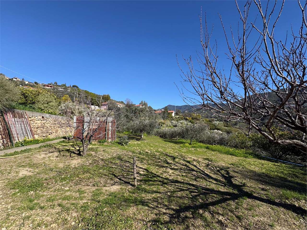 Terreno a Bordighera — Rif. 661 - Foto 14