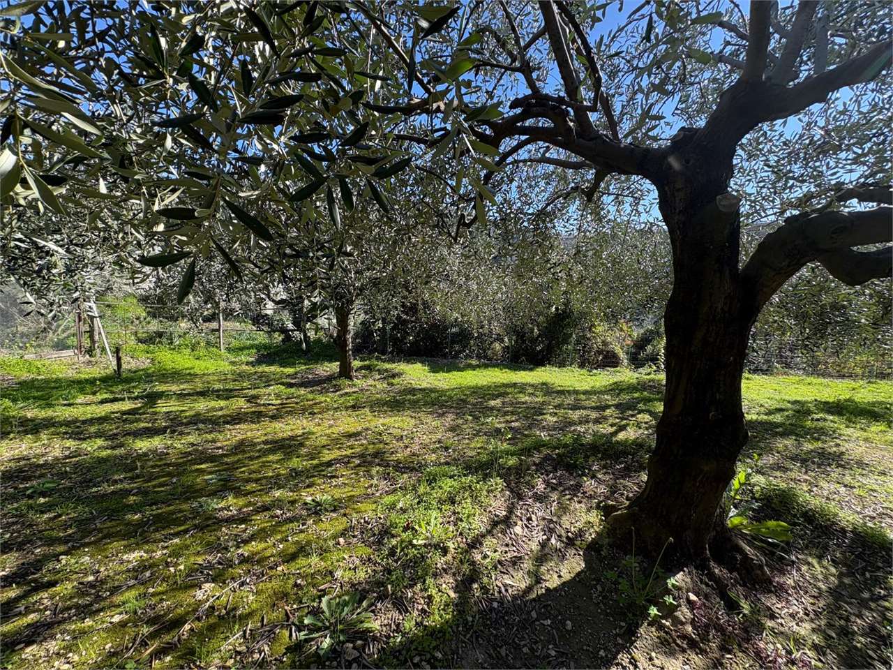 Terreno a Bordighera — Rif. 661 - Foto 15