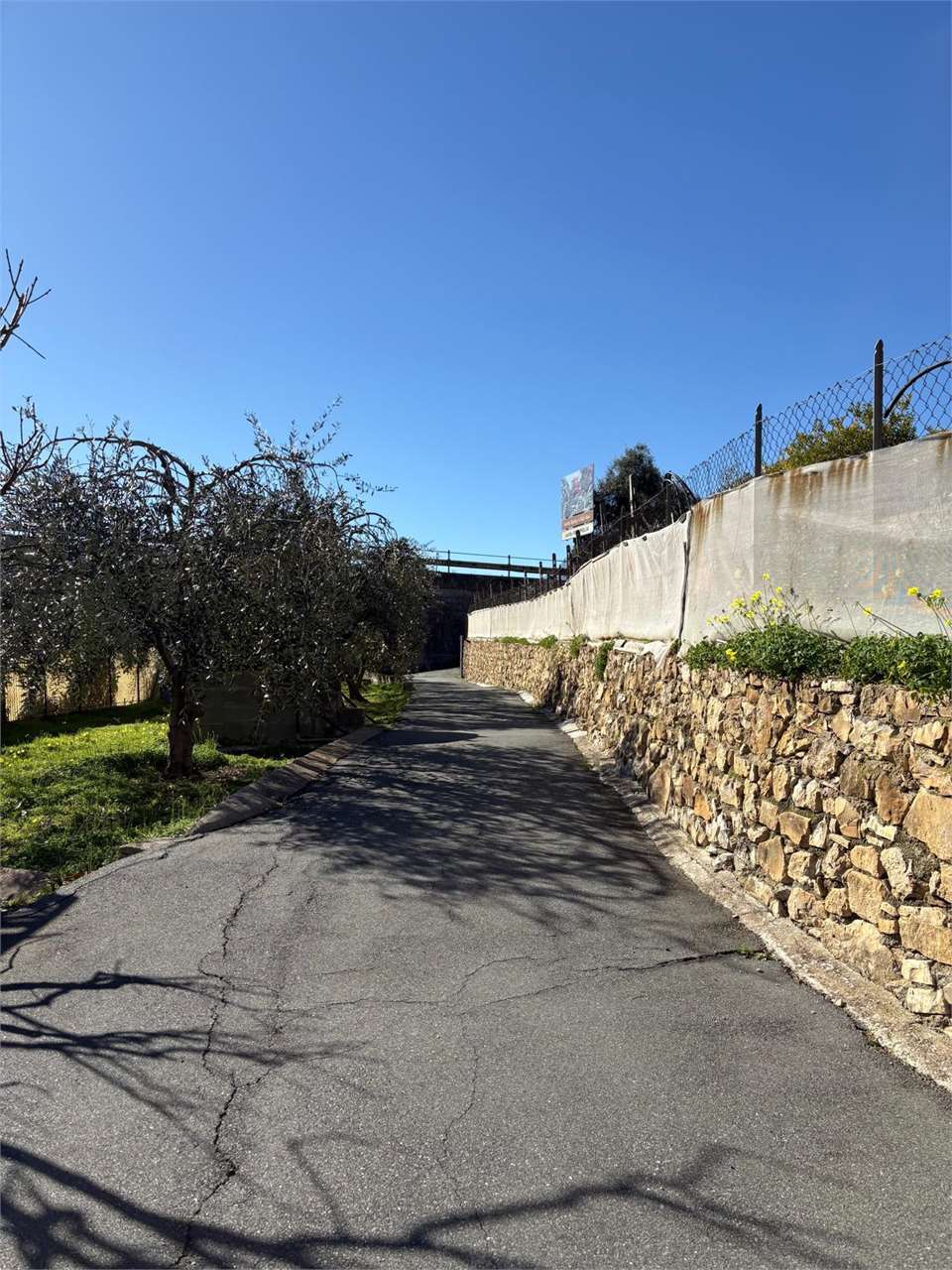 Terreno a Bordighera — Rif. 661 - Foto 19