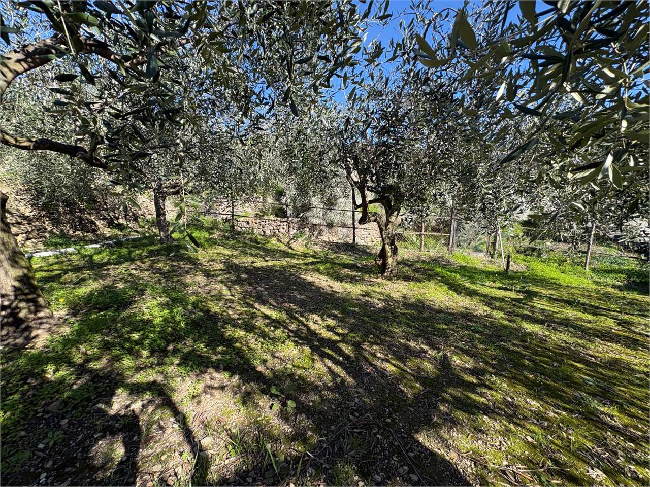 Terreno a Bordighera — Rif. 661 - Foto 21