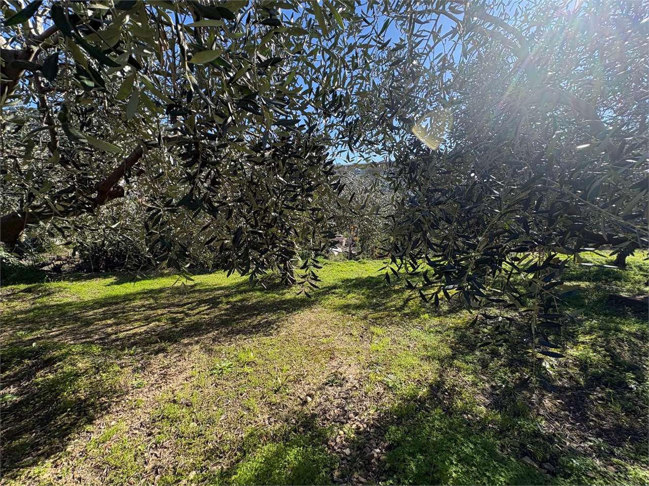 Terreno a Bordighera — Rif. 661 - Foto 22