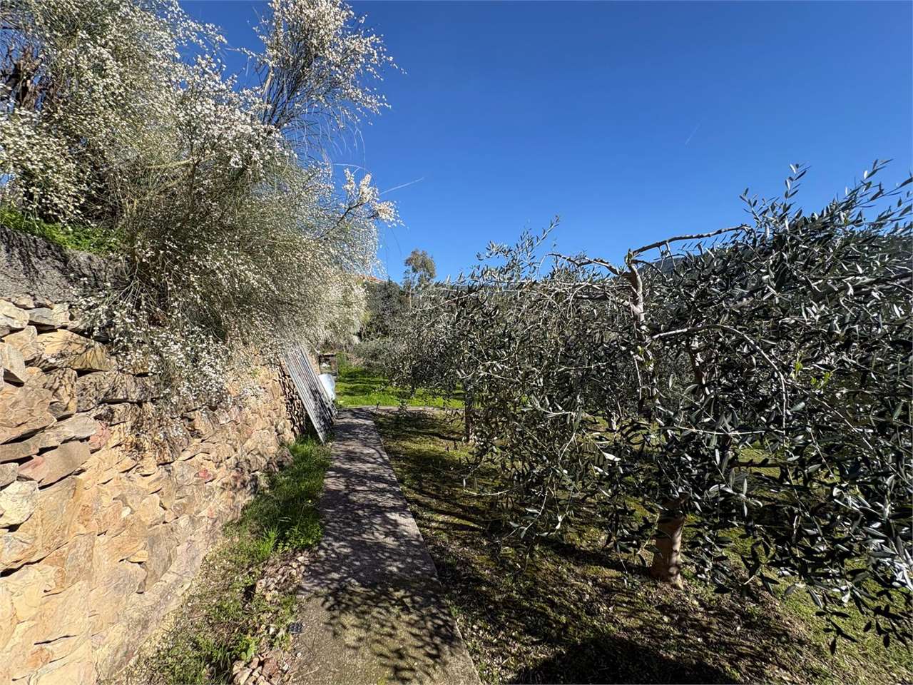 Terreno a Bordighera — Rif. 661 - Foto 24
