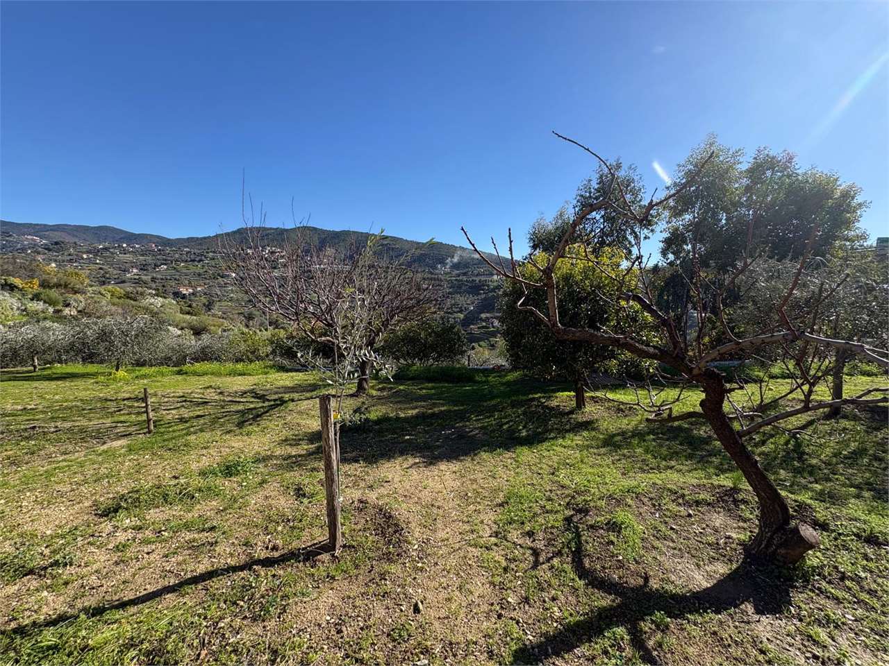 Terreno a Bordighera — Rif. 661 - Foto 27