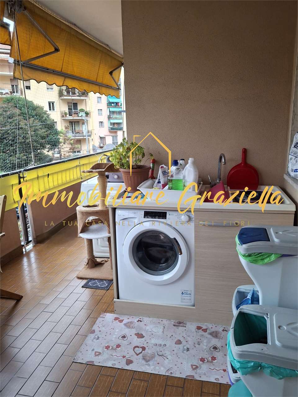 immagine annuncio 14 di 15