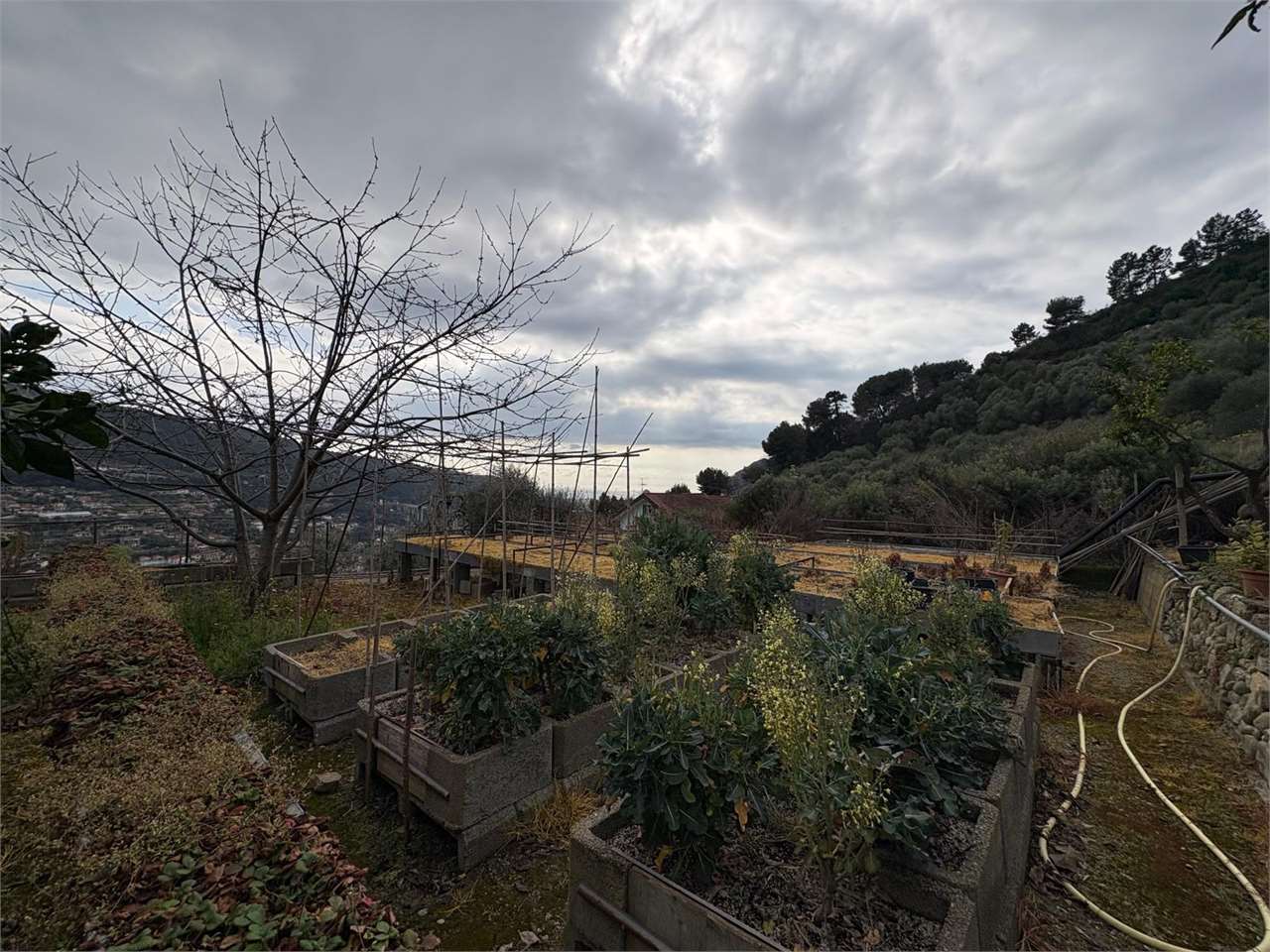 Villa a Camporosso — Rif. A-574 - foto 4