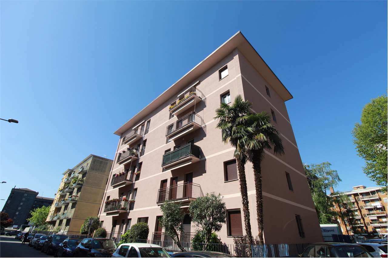 Novara Vendita 4 o più locali