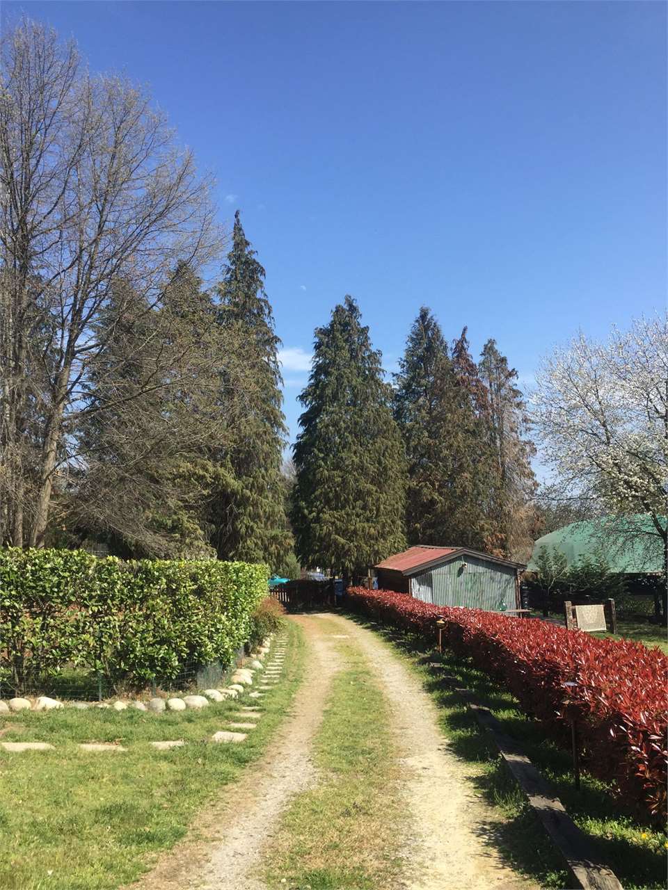 Porzione di casa in vendita a Varallo Pombia (NO)