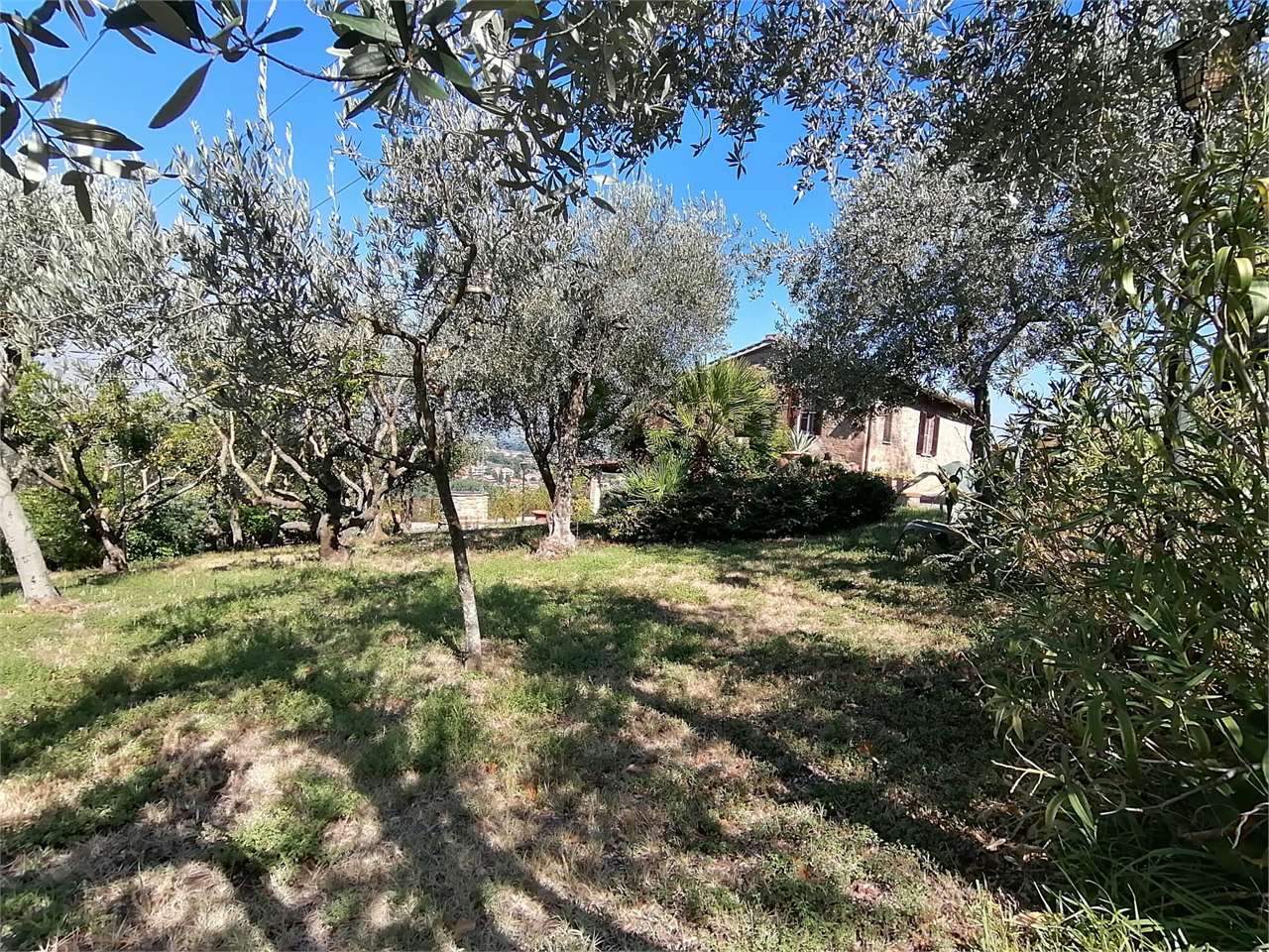 Villa in vendita a Torgiano - foto 6