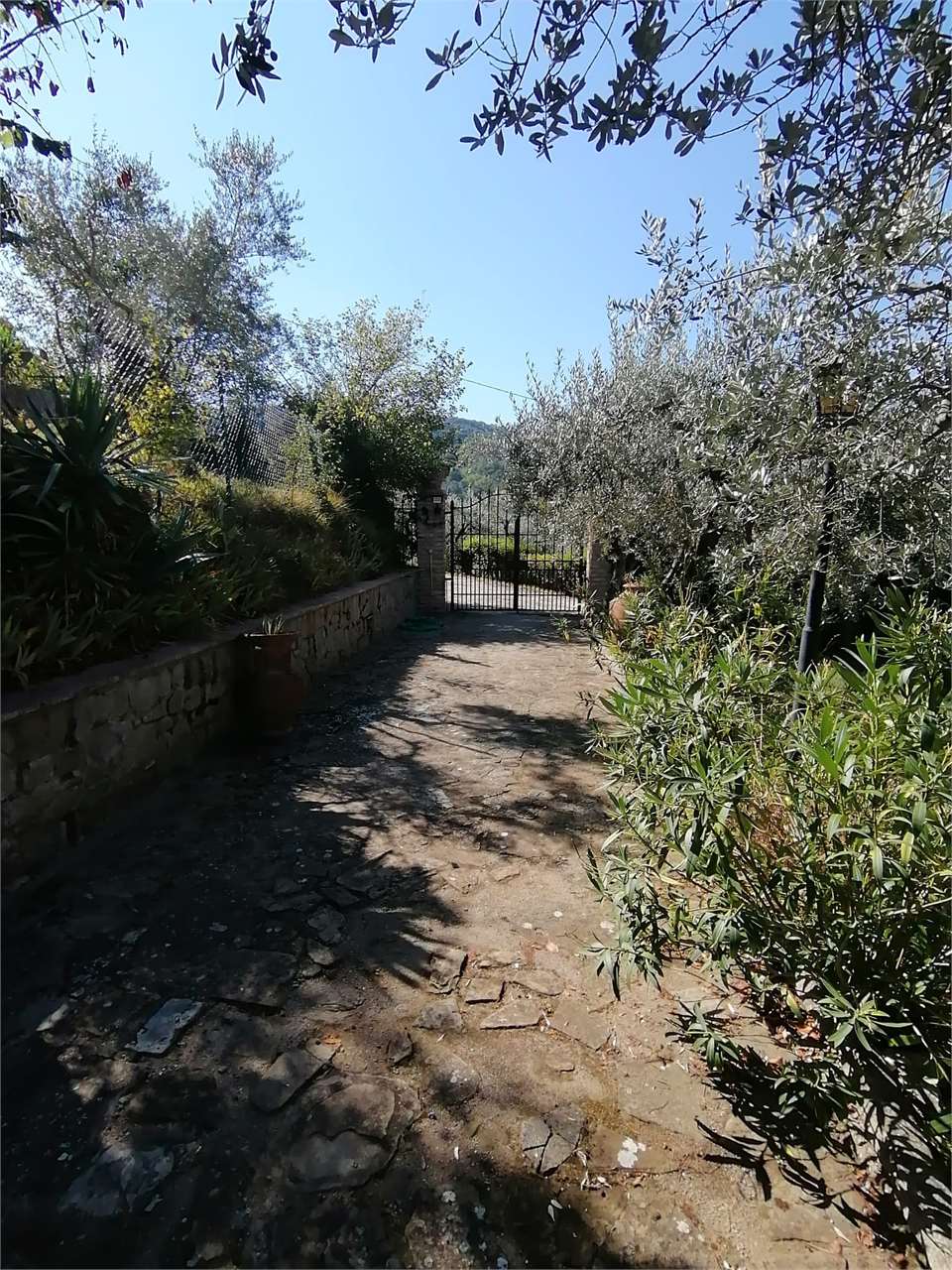 Villa in vendita a Torgiano - foto 4