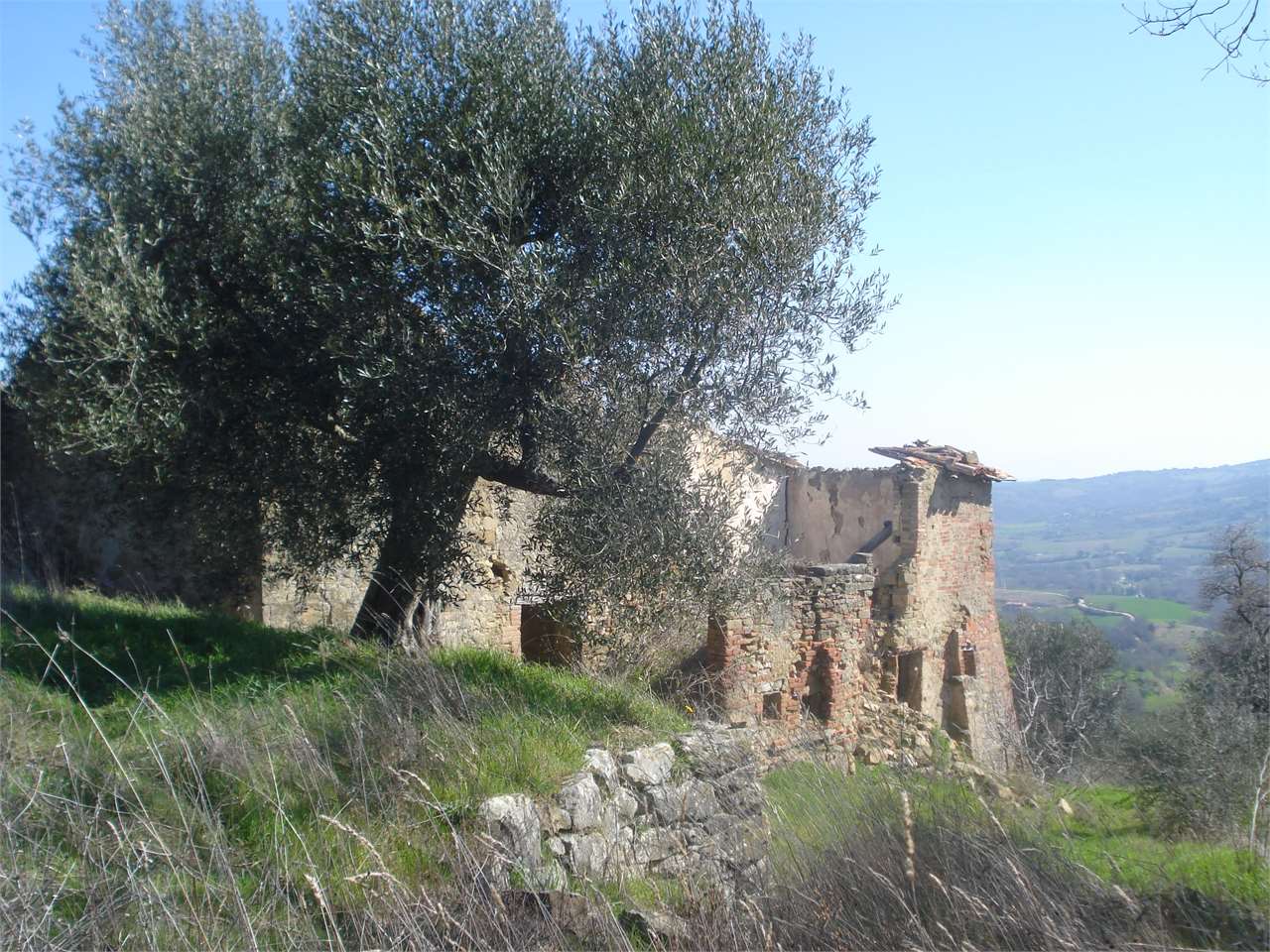 Piegaro Perugia - Castiglion Fosco casale con oliveto