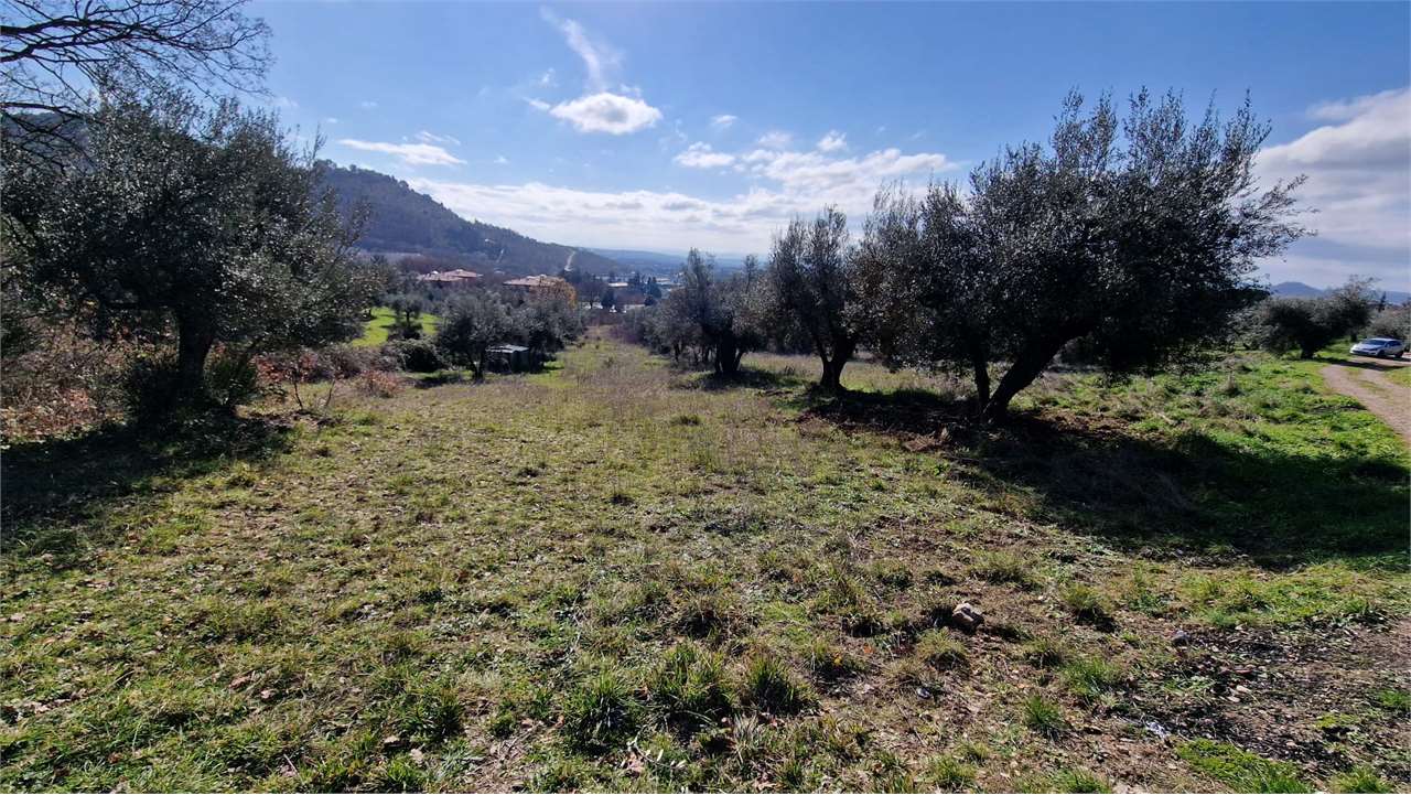 Perugia Perugia Olmo vendesi terreno agricolo 11.000 mq.