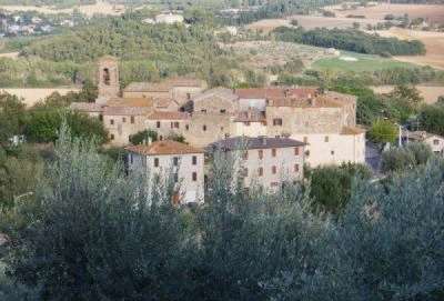 Perugia Terreno Agricolo con Ulivi secolari