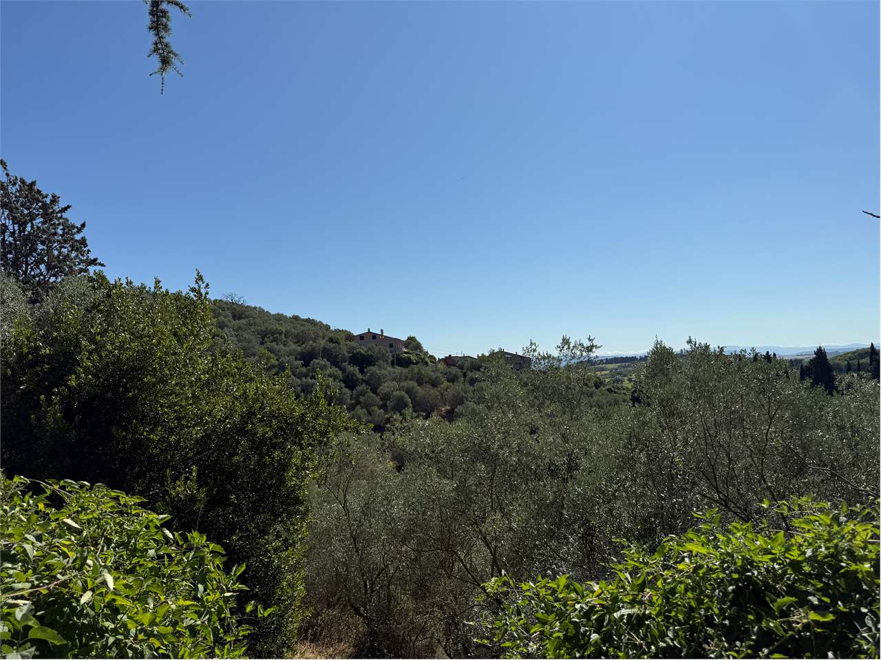 Marsciano Terreno edificabile 