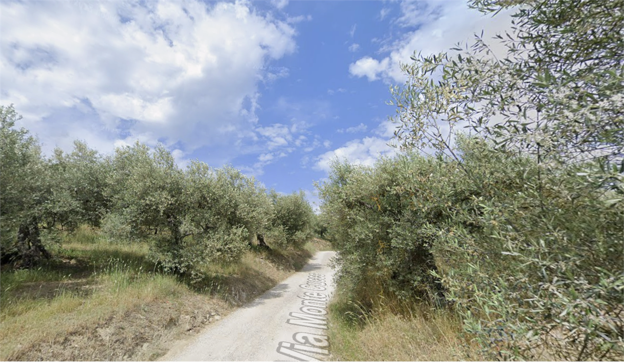 Magione terreno agricolo con pozzo