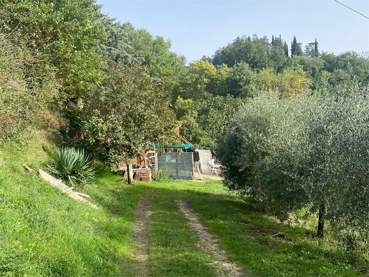 Citerna CITERNA Lotto edificabile con progetto approvato 