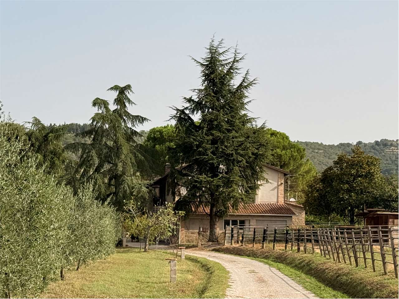 Magione PORZIONE DI CASALE CON TERRENO E OLIVI